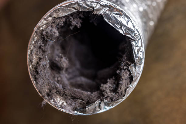 Best Ductwork Cleaning Services  in Miami Gardens, FL