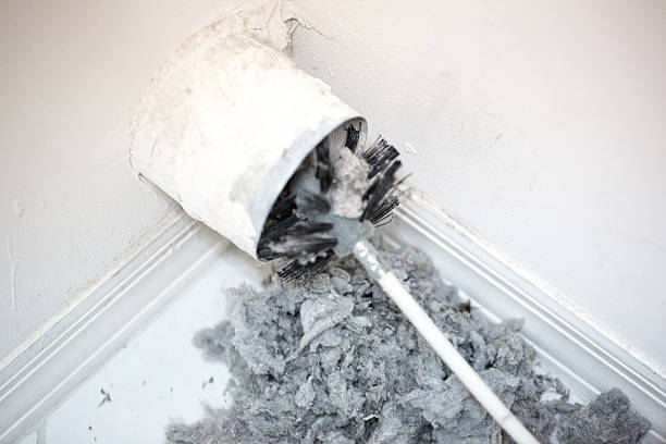 Best Emergency Air Duct Cleaning  in Miami Gardens, FL
